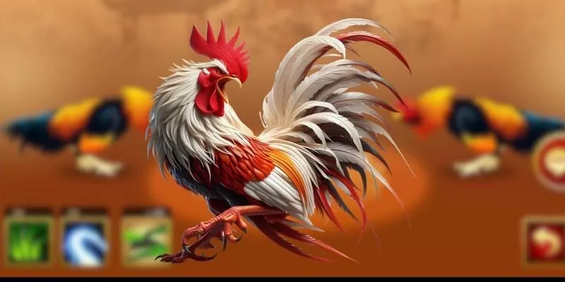 Các chiến thuật, mẹo chơi đá gà C1 tại Vin88 cho người mới bắt đầu